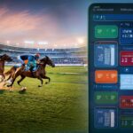 What Is Gold365 Net Website?